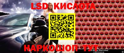 Альфа ПВП Кандалакша