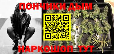 Альфа ПВП Кандалакша