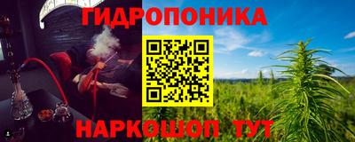 Альфа ПВП Кандалакша