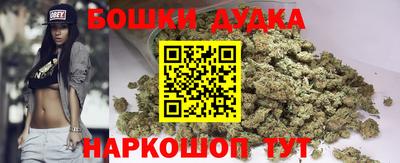 Альфа ПВП Кандалакша